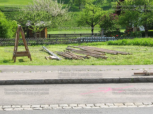 Rottauer Maibaum Q240