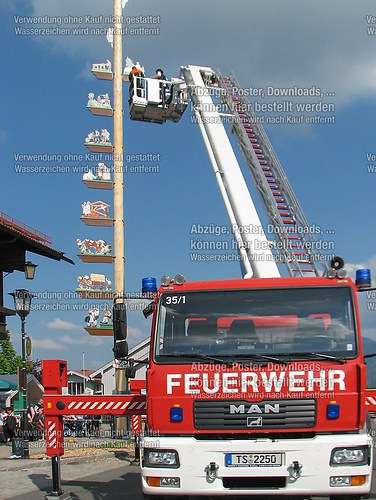 Rottauer Maibaum Q244