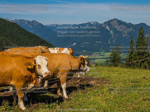 Bergmesse und Almkirta auf der Jochbergalm 2014