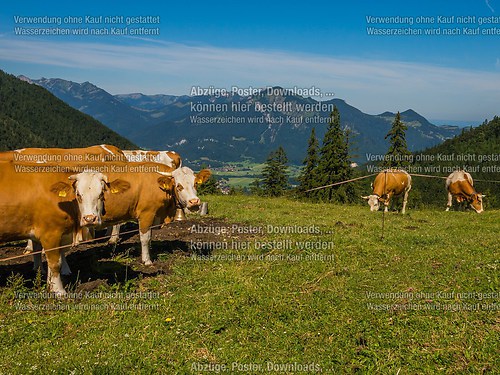 Bergmesse und Almkirta auf der Jochbergalm 2014