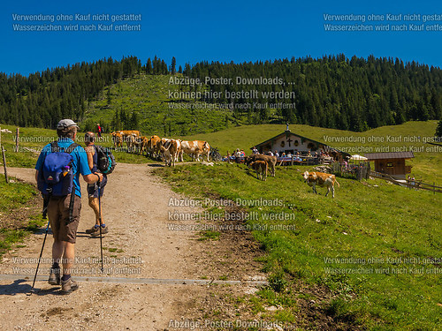 Bergmesse und Almkirta auf der Jochbergalm 2014