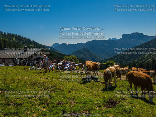 Bergmesse und Almkirta auf der Jochbergalm 2014