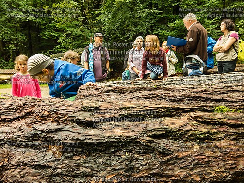 Heimat- und Kulturwanderung Wössner Wasserkraft am Wössner Bac