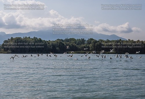 Ölwehrübung im Achendelta am Chiemsee mit TAL und THW 2014