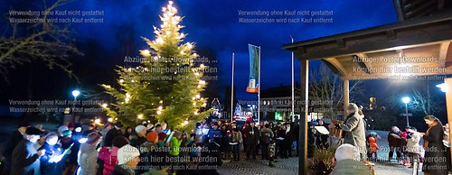 Singen unterm Christbaum 2014 -02