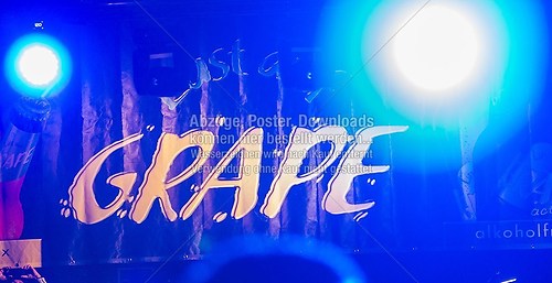 Grape Stand Stimmung Hoepfner Burgfest 2013 f_1