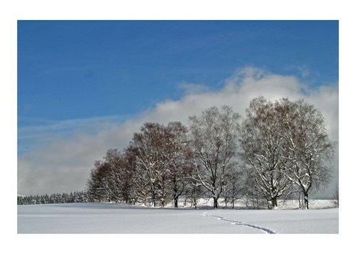 winter_am_dellenfeld