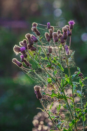 FormatFactoryIMG_9883