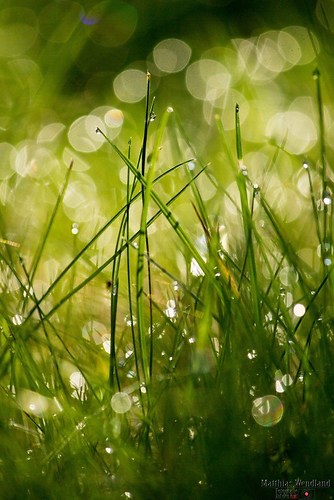 FormatFactoryIMG_9885