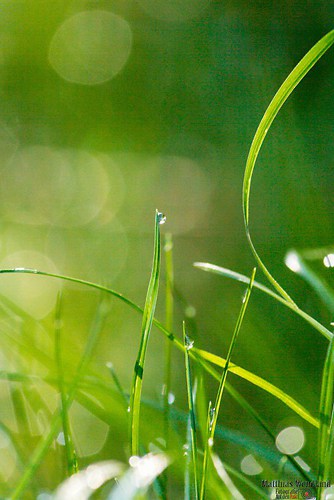 FormatFactoryIMG_9886