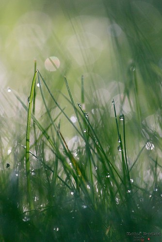 FormatFactoryIMG_9887