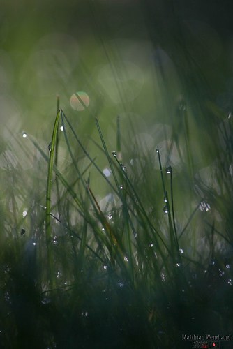 FormatFactoryIMG_9887-2