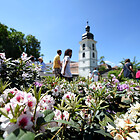 VERANSTALTUNG