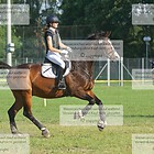 ST225 2015 Renningen