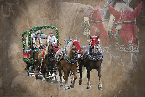 Collage_Brauereiwagen