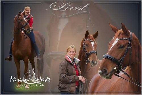 Collage_aus_Fotoshooting