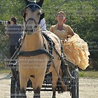 Sommerfest Barockreitzentrum
