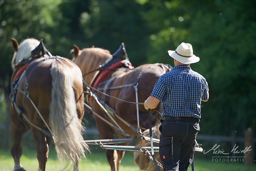 HKN_20170730_MHE2522