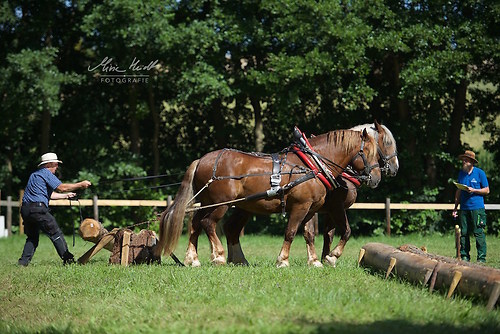 HKN_20170730_MHE2528
