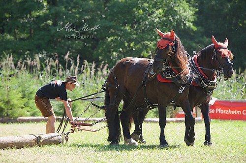 HKN_20170730_MHE2574