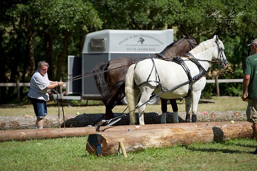 HKN_20170730_MHE2620