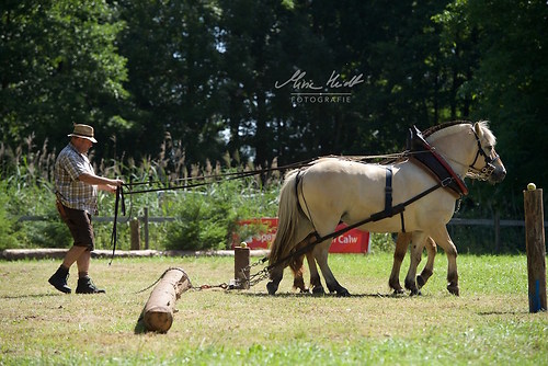 HKN_20170730_MHE2630