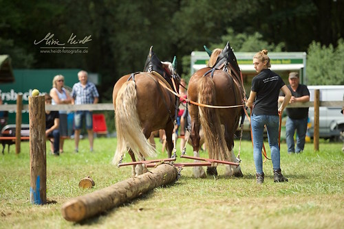 HKN_20170730_MHE2738
