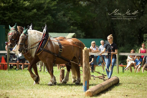 HKN_20170730_MHE2740