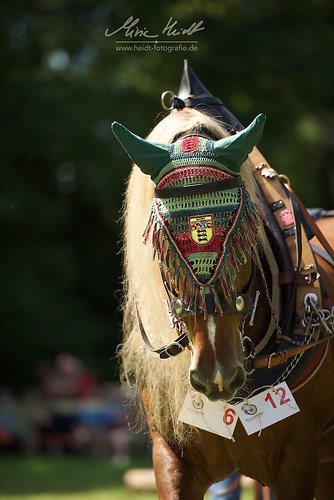 HKN_20170730_MHE2755