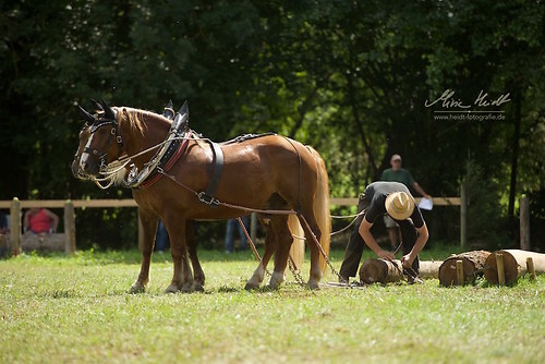 HKN_20170730_MHE2855