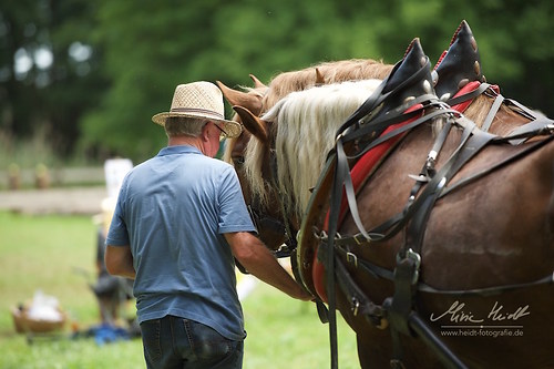 HKN_20170730_MHE2896