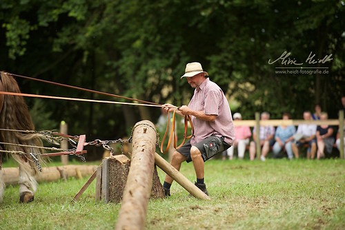 HKN_20170730_MHE2925