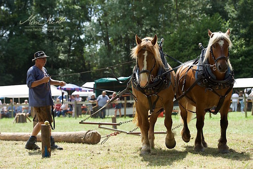 HKN_20170730_MHE2998