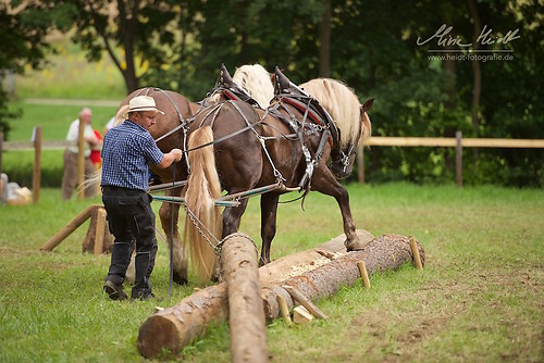 HKN_20170730_MHE3129