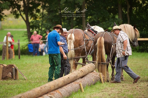 HKN_20170730_MHE3137