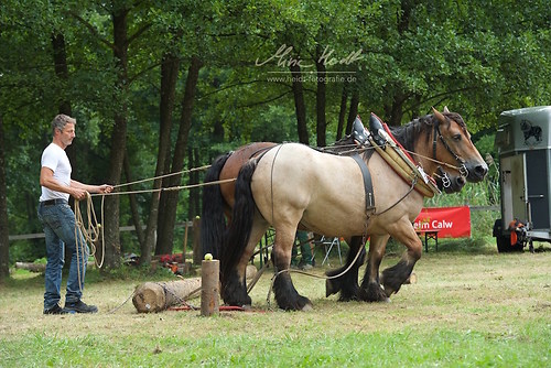 HKN_20170730_MHE3156