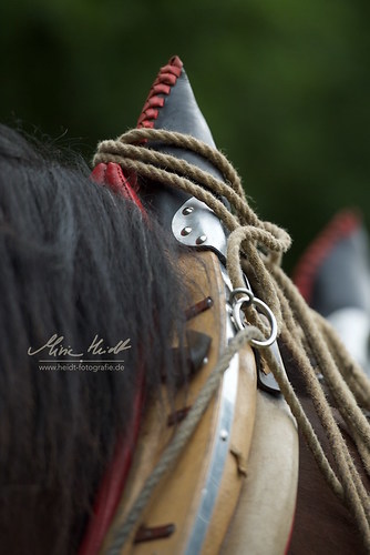 HKN_20170730_MHE3178