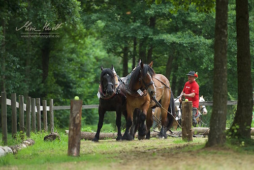 HKN_20170730_MHE3181