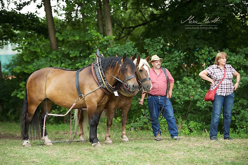 HKN_20170730_MHE3191