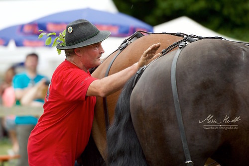 HKN_20170730_MHE3212