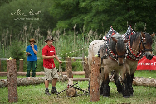 HKN_20170730_MHE3224