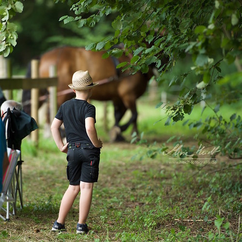 HKN_20170730_MHE3315