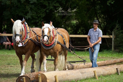 HKN_20170730_MHE3344