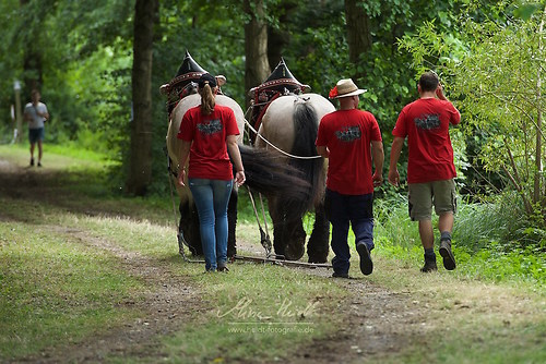 HKN_20170730_MHE3362