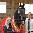 Wahl Zuchtschausieger