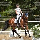 D-13/2 Dressur Kl. A*