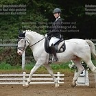 D-17 Dressurwettbewerb Kl. E