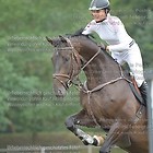 S-10 Springpferde Kl. L