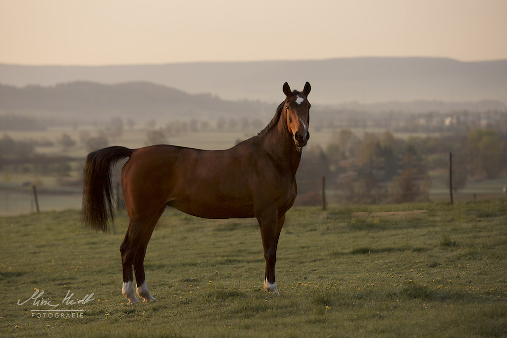 KZ_20170422_MHE9515ret