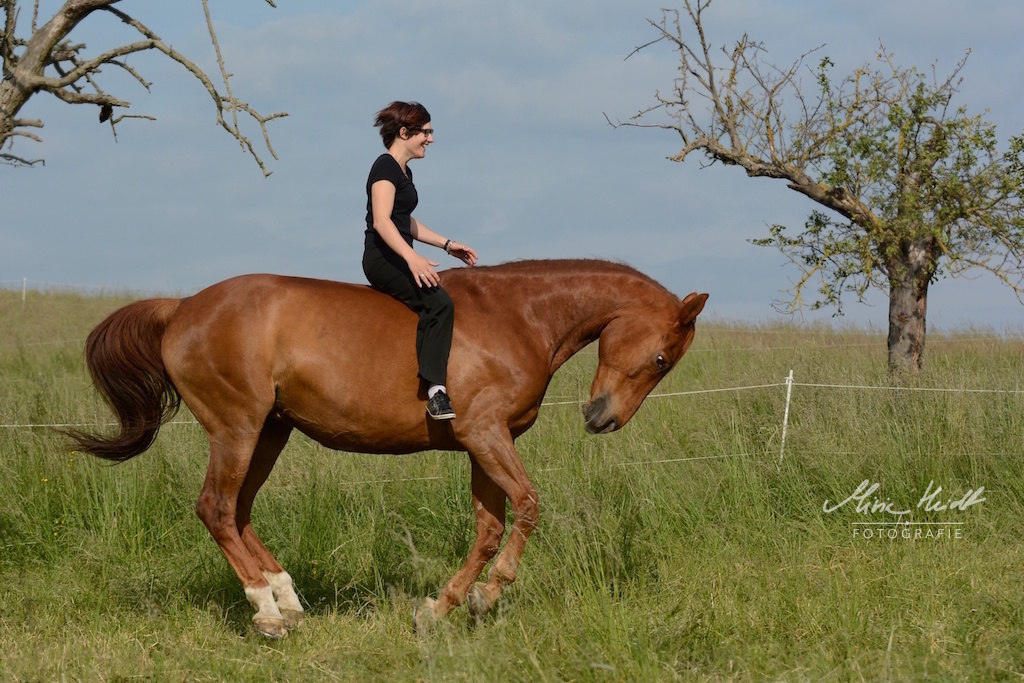 MHE_201505_DSC8914 - ret